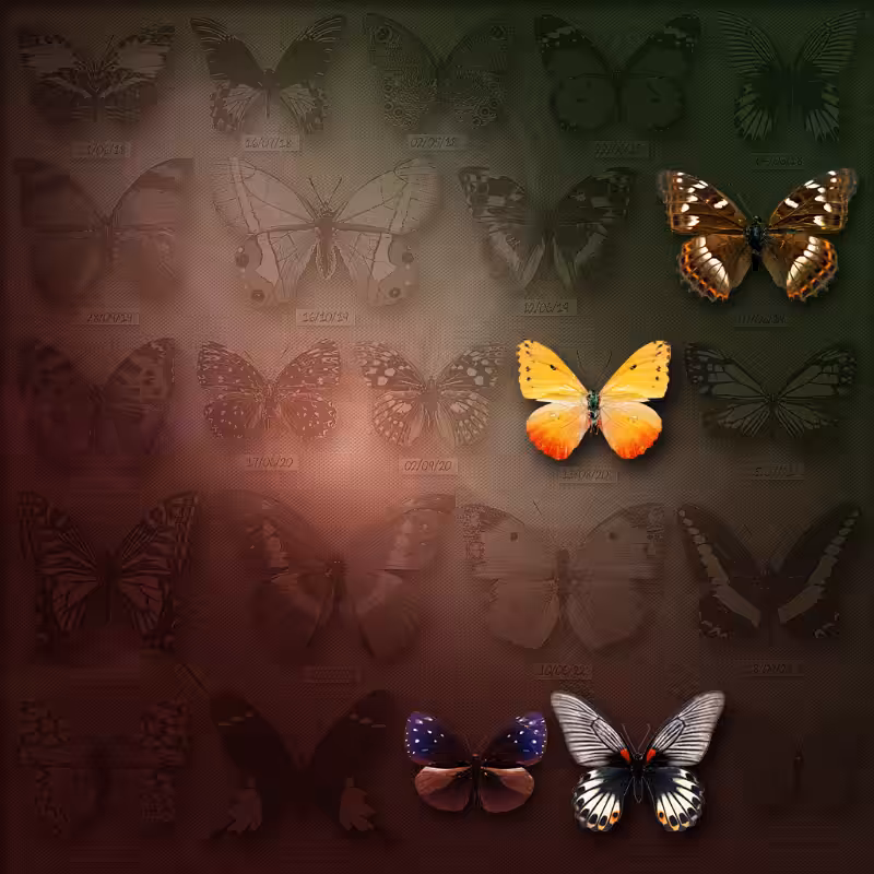 Save Butterfly World #21