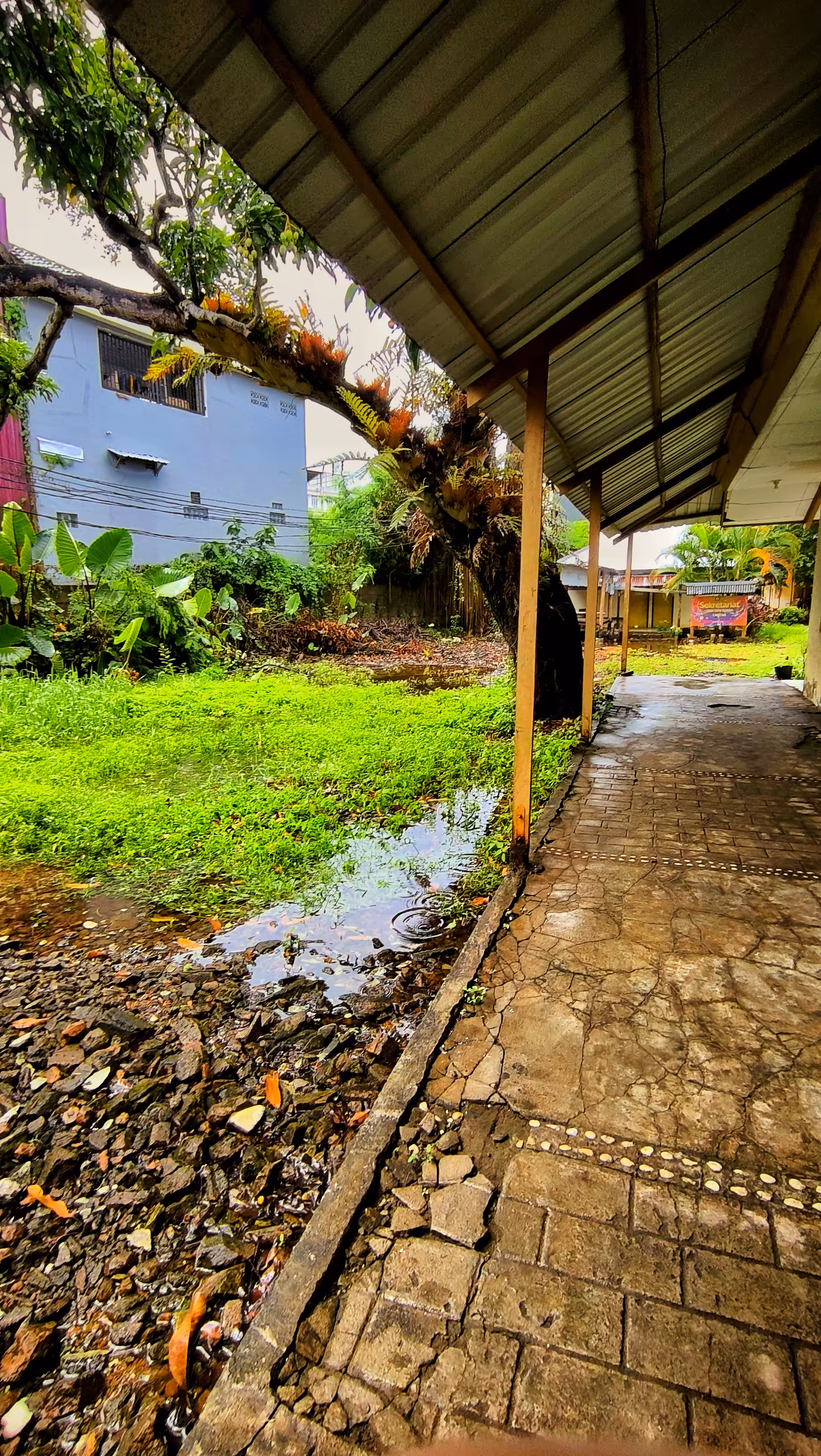 Creative Art: After the Rain Stayed