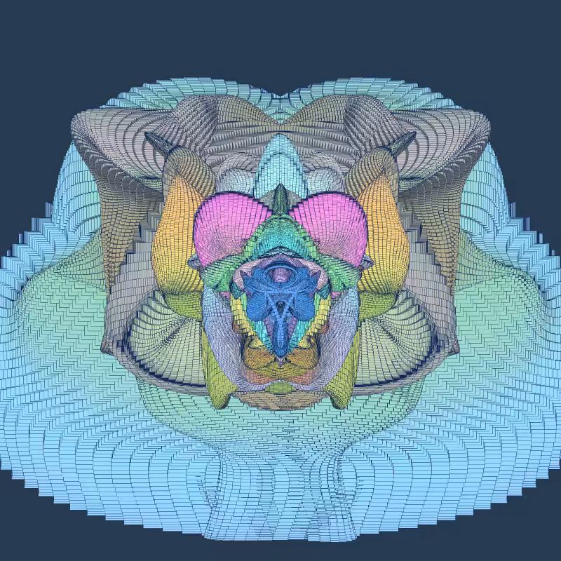 Zaratan #282
