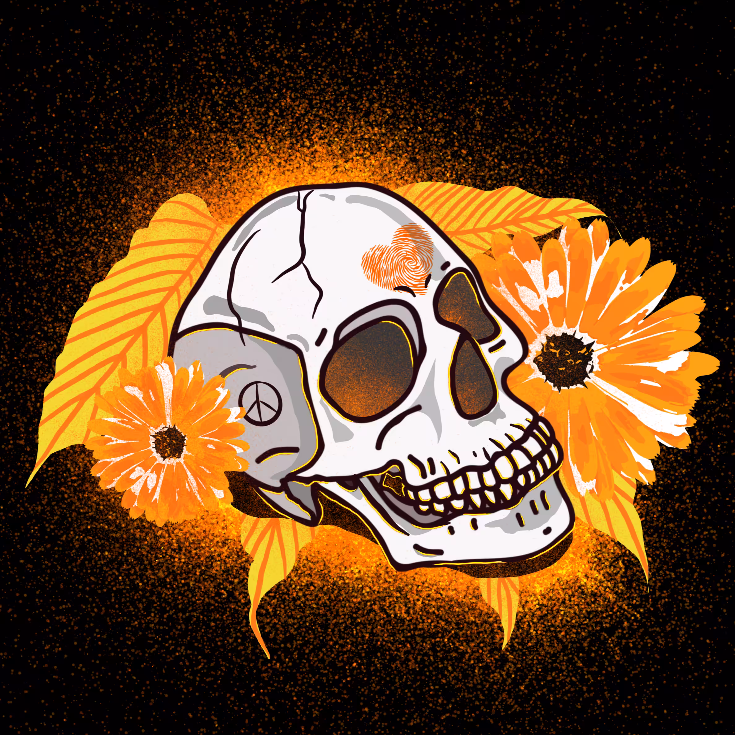 Human Skull