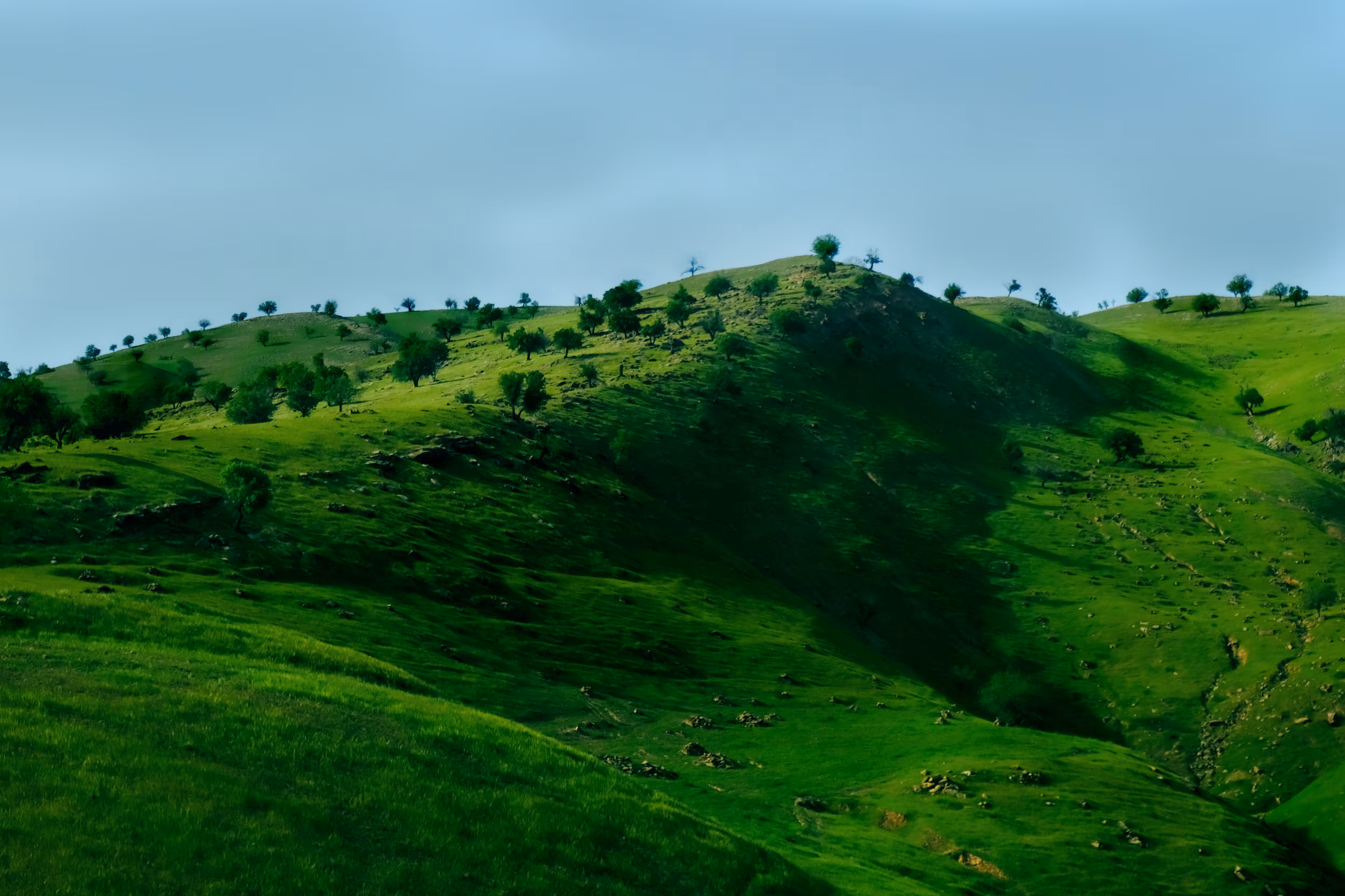 mother nature 