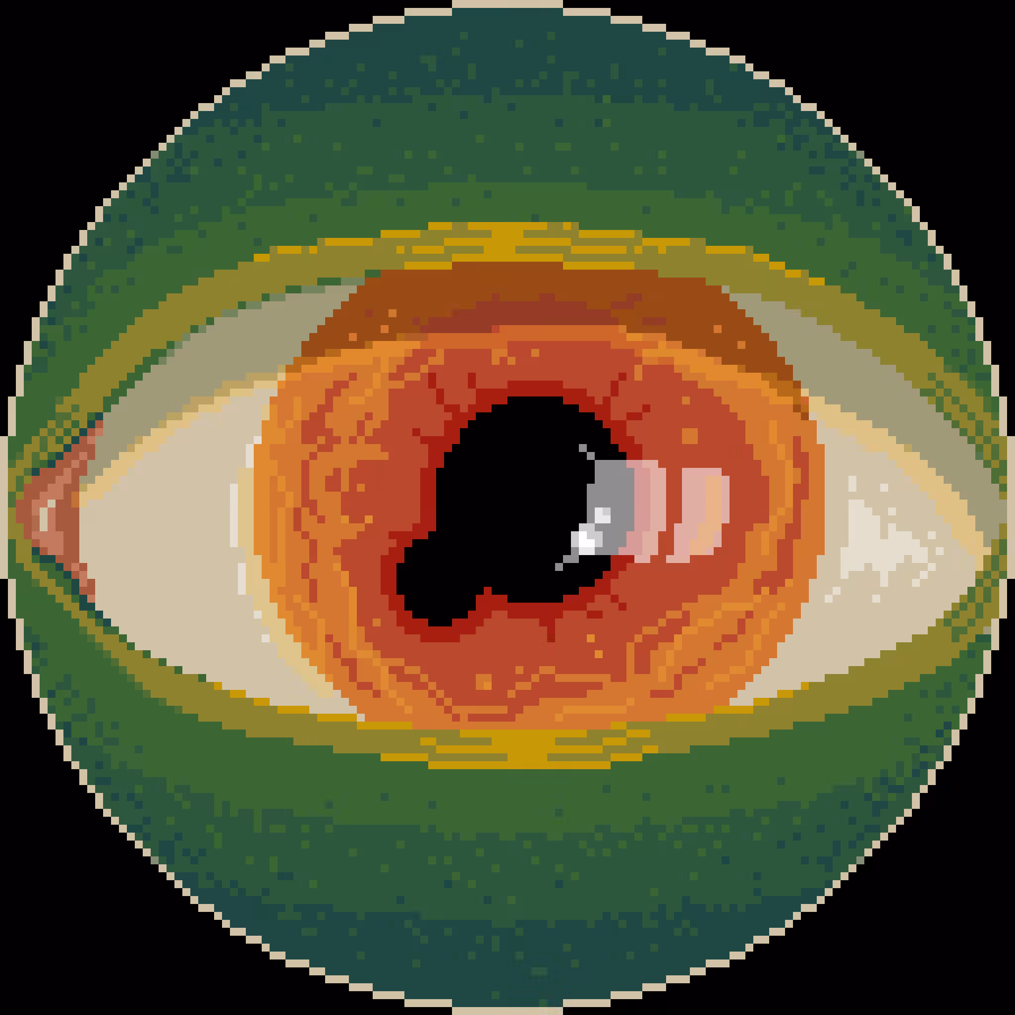 Cosmic Pupil