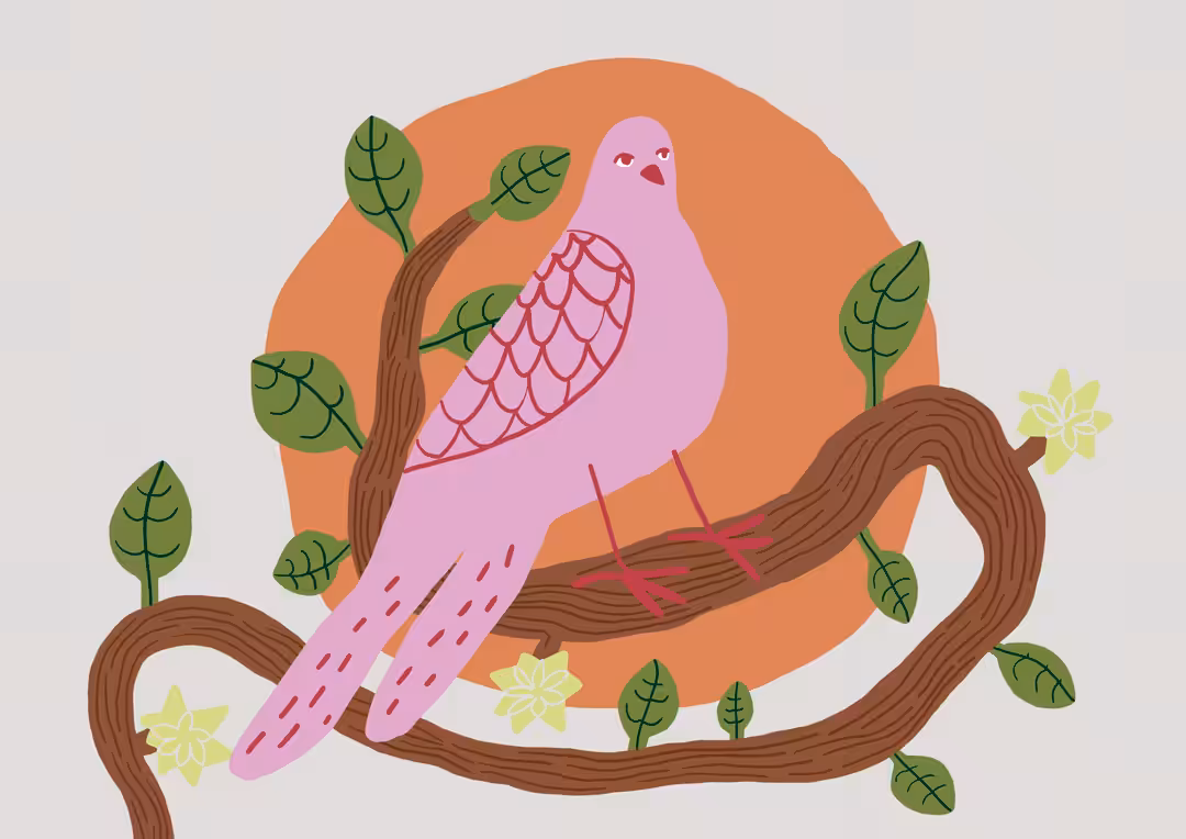 Pidgeon