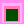 Homage to the Pixel: Photographer