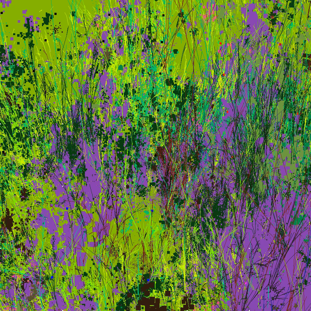 Infinite Garden: 60100 Flowers