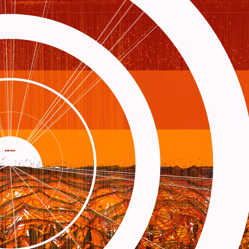 The Valley #12