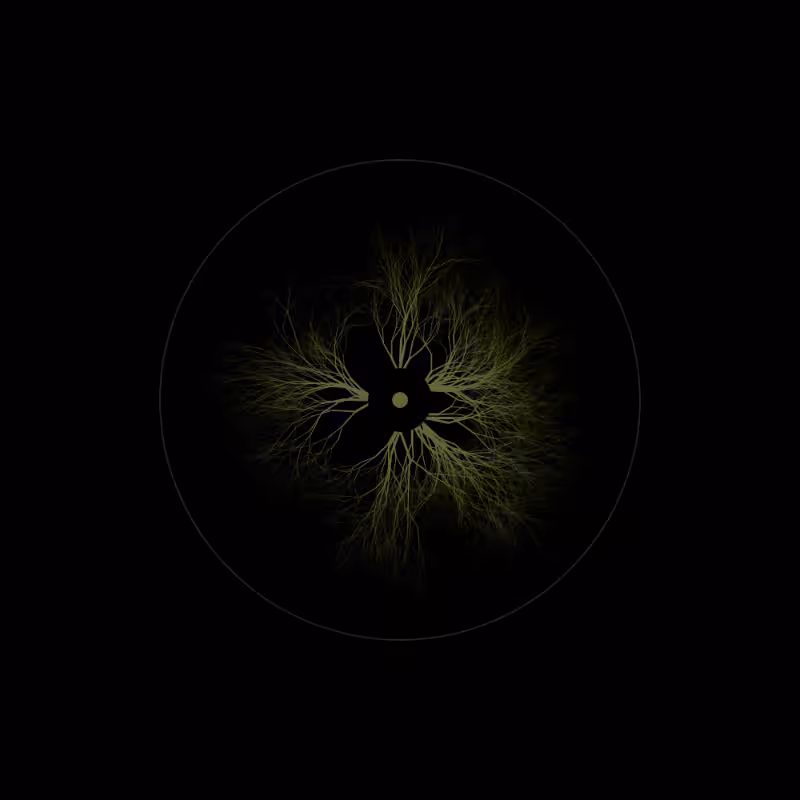 EYE #41