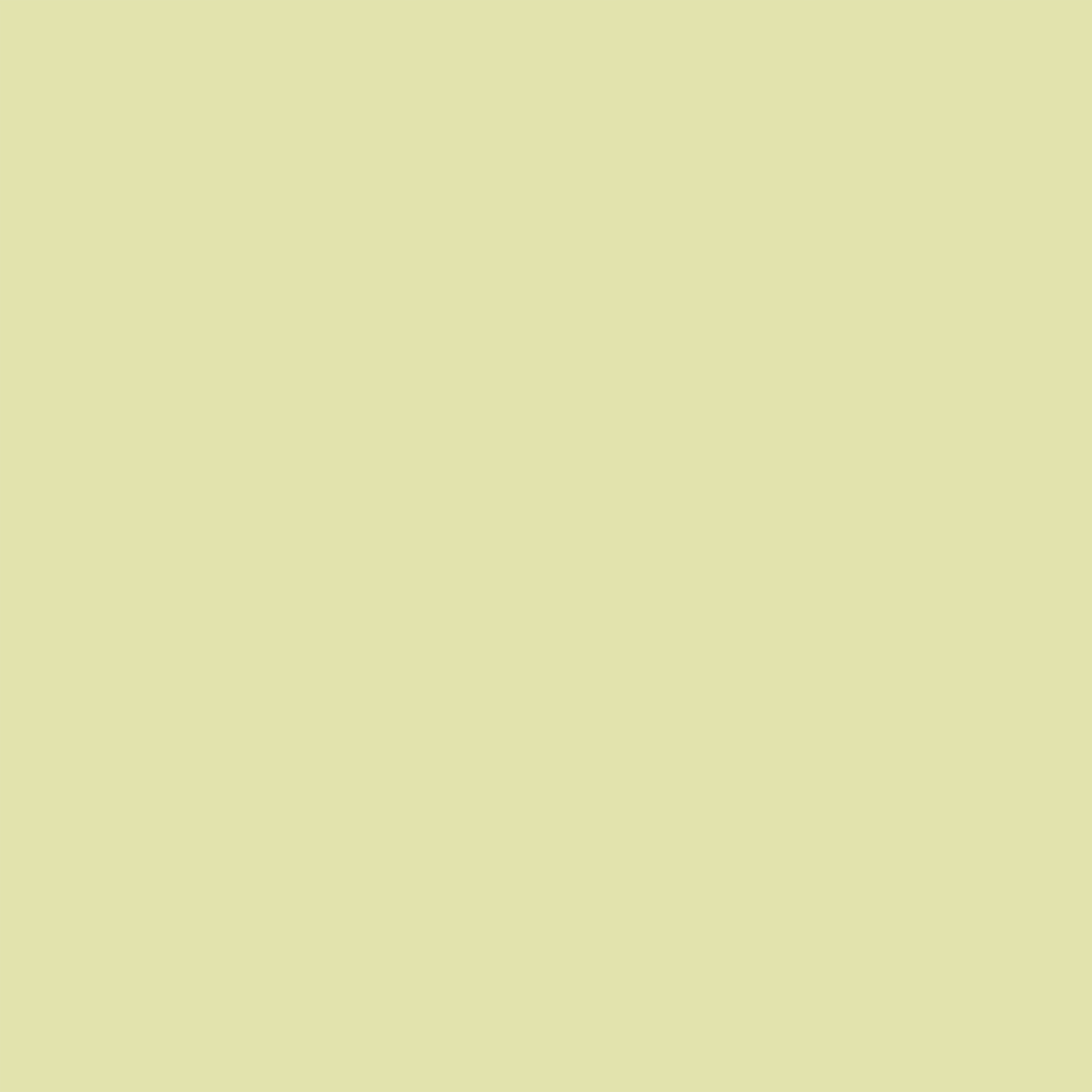 FAKE GOLD SQUARE