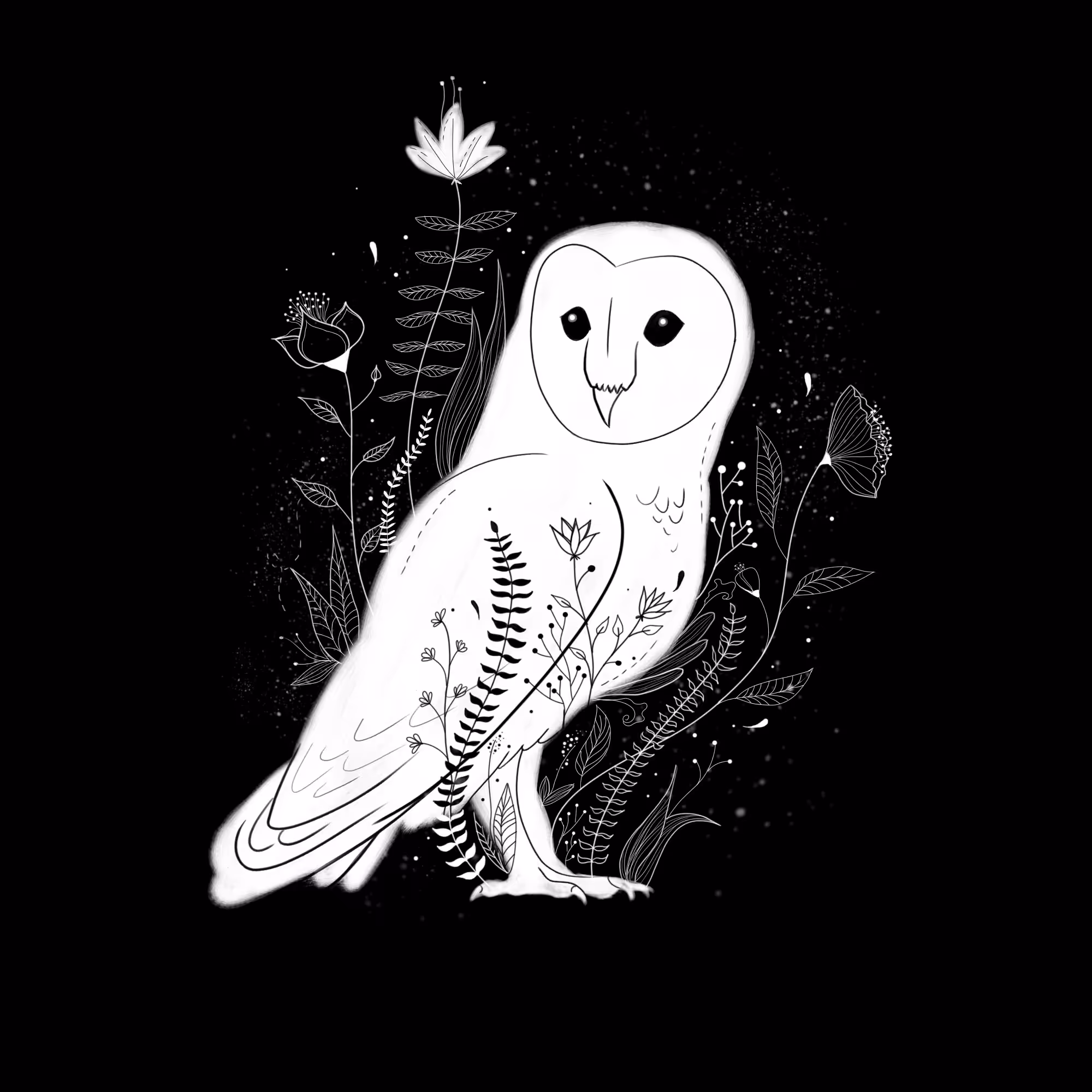 The Owl