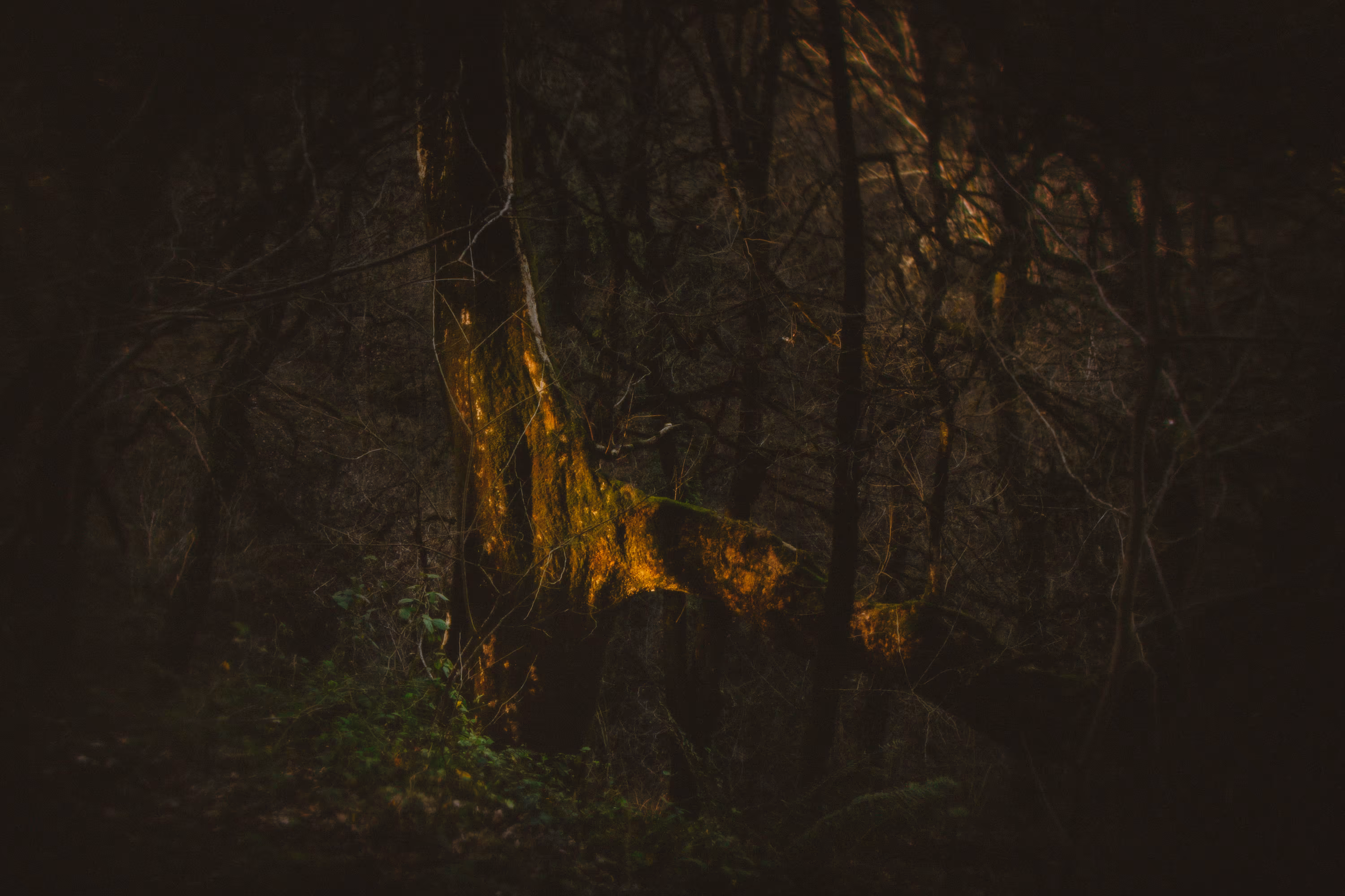Hauntology Situations: Memento