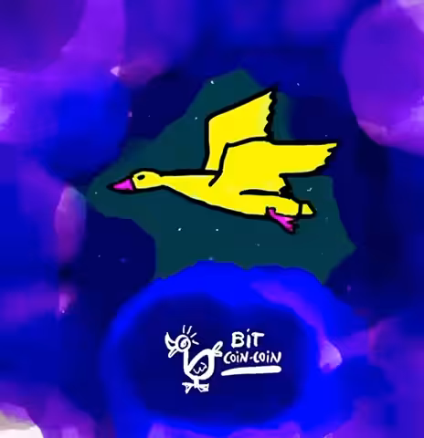 Funky Duck 