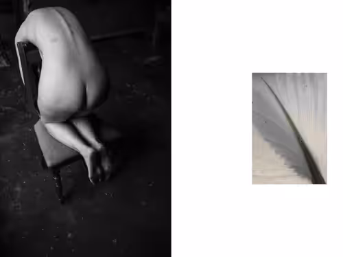 SeasonalDepression Collection