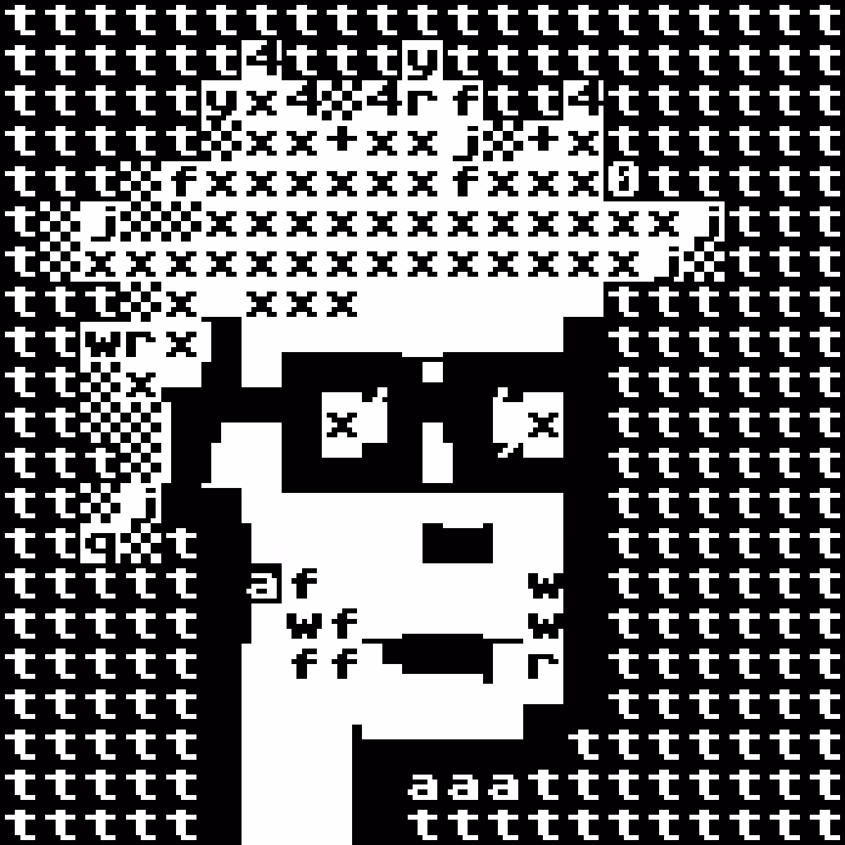 PET Punk 511