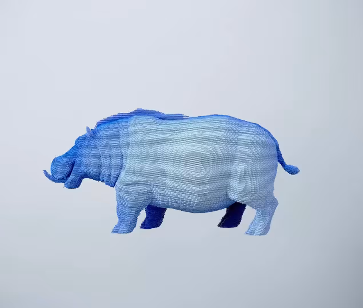 Hippo to Rhino