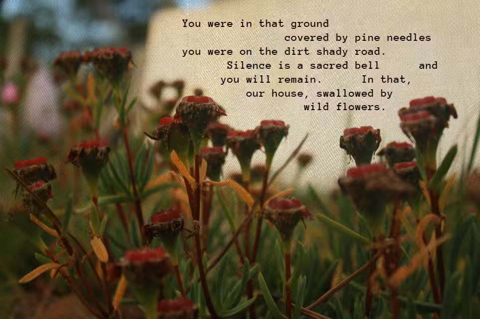 Wild Flowers