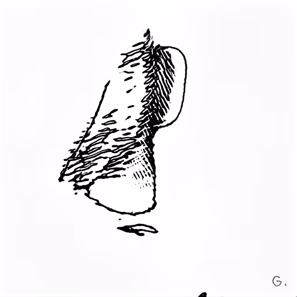 J48BAFORMS: J48BAFORM #679