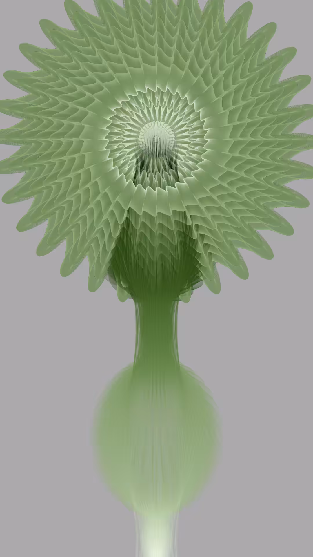 Blossom #14
