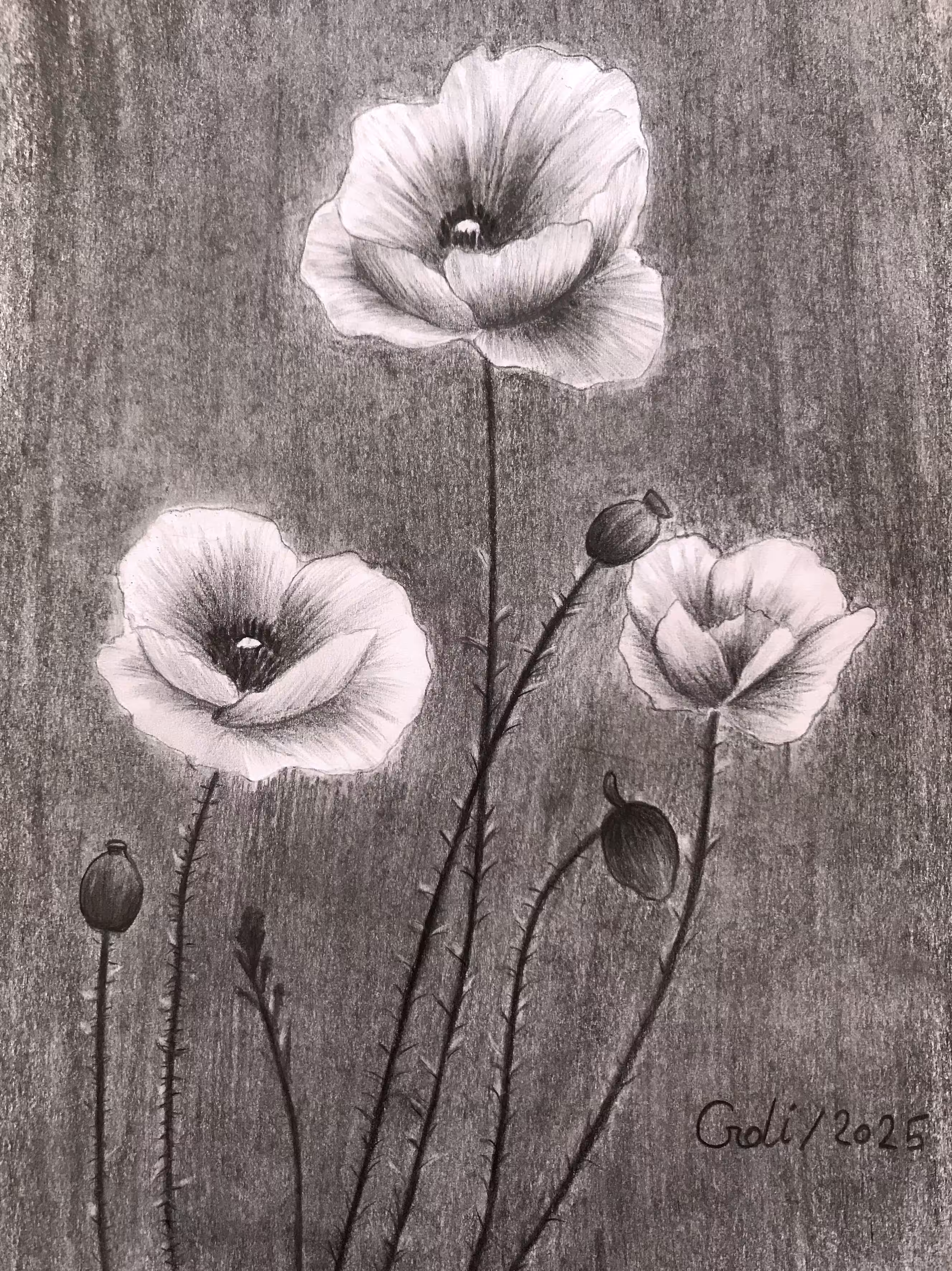 Wild flower 