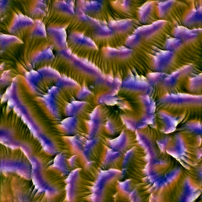 Genomes #264