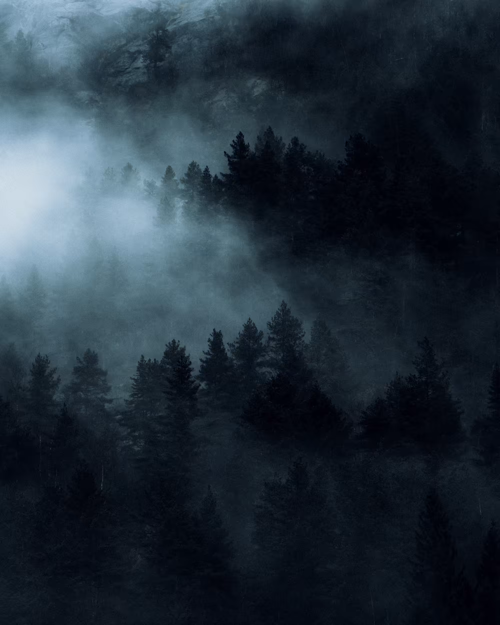 #46 — Black Woods