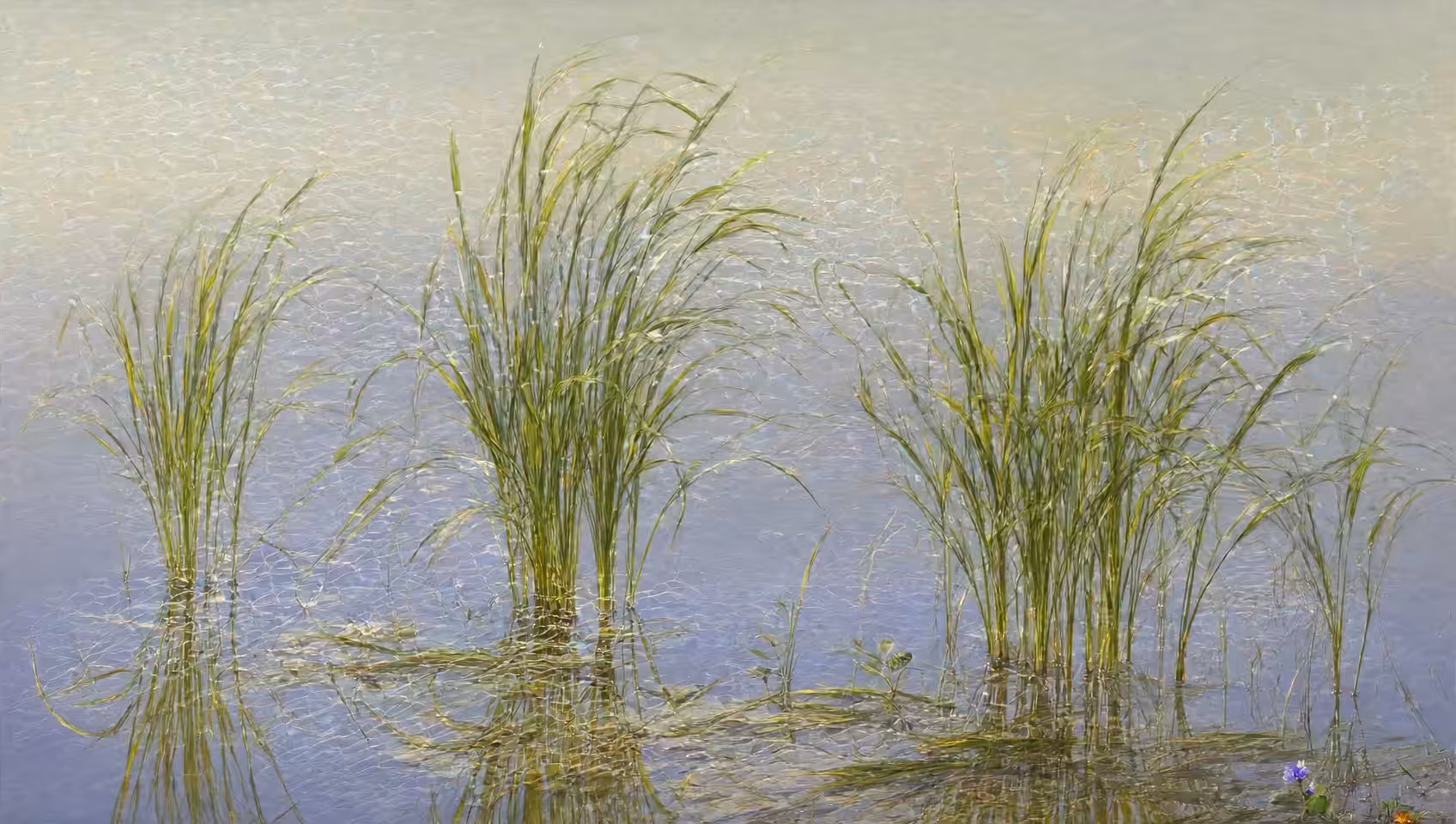 Spring impressionism (20)