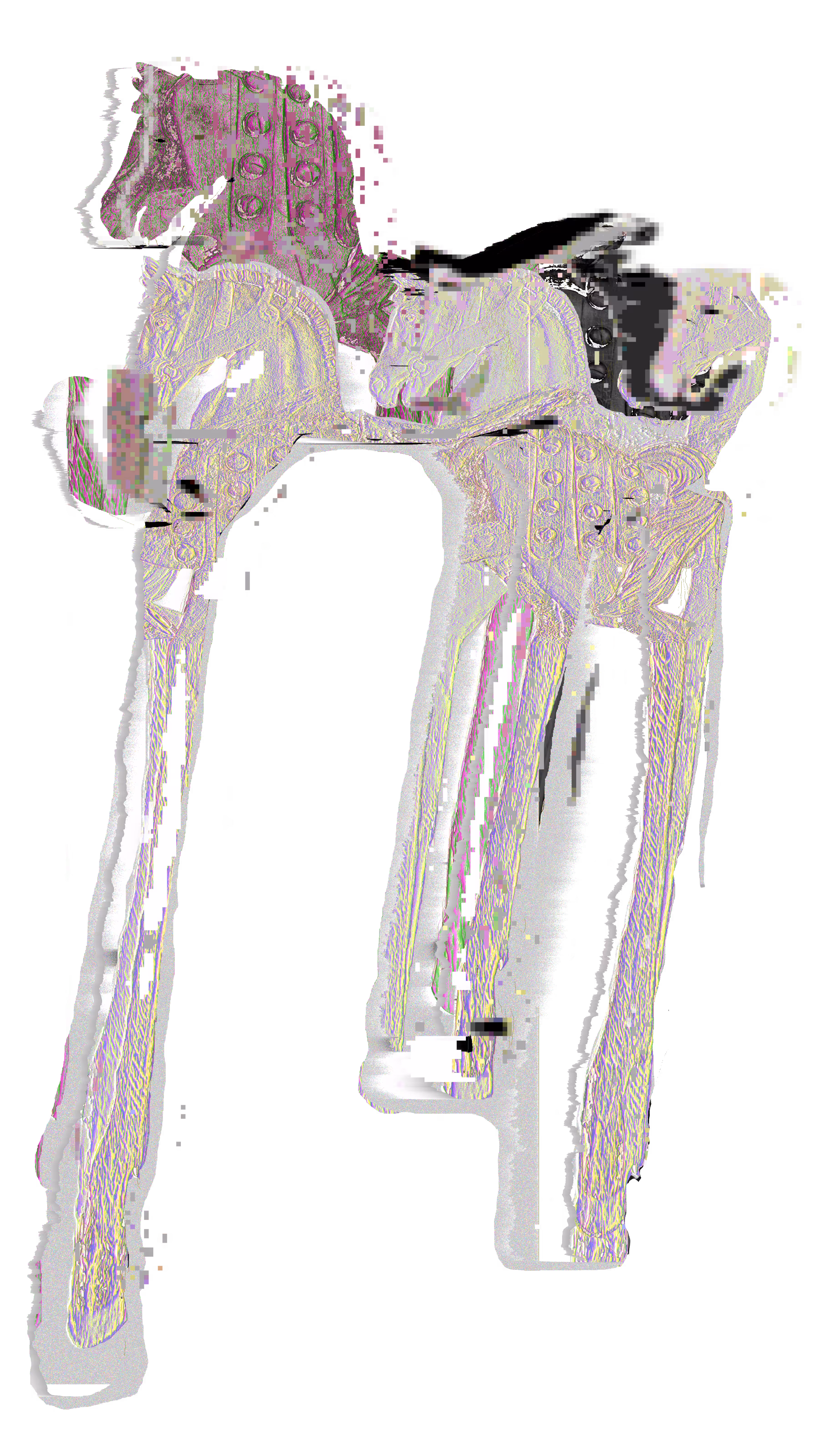 foal