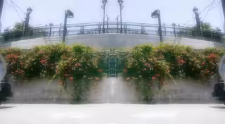 d san kong