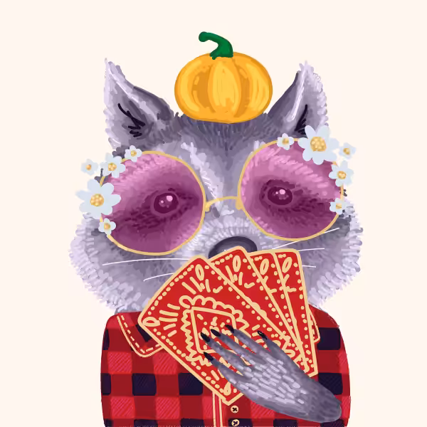 Cool Raccoon Collection #21