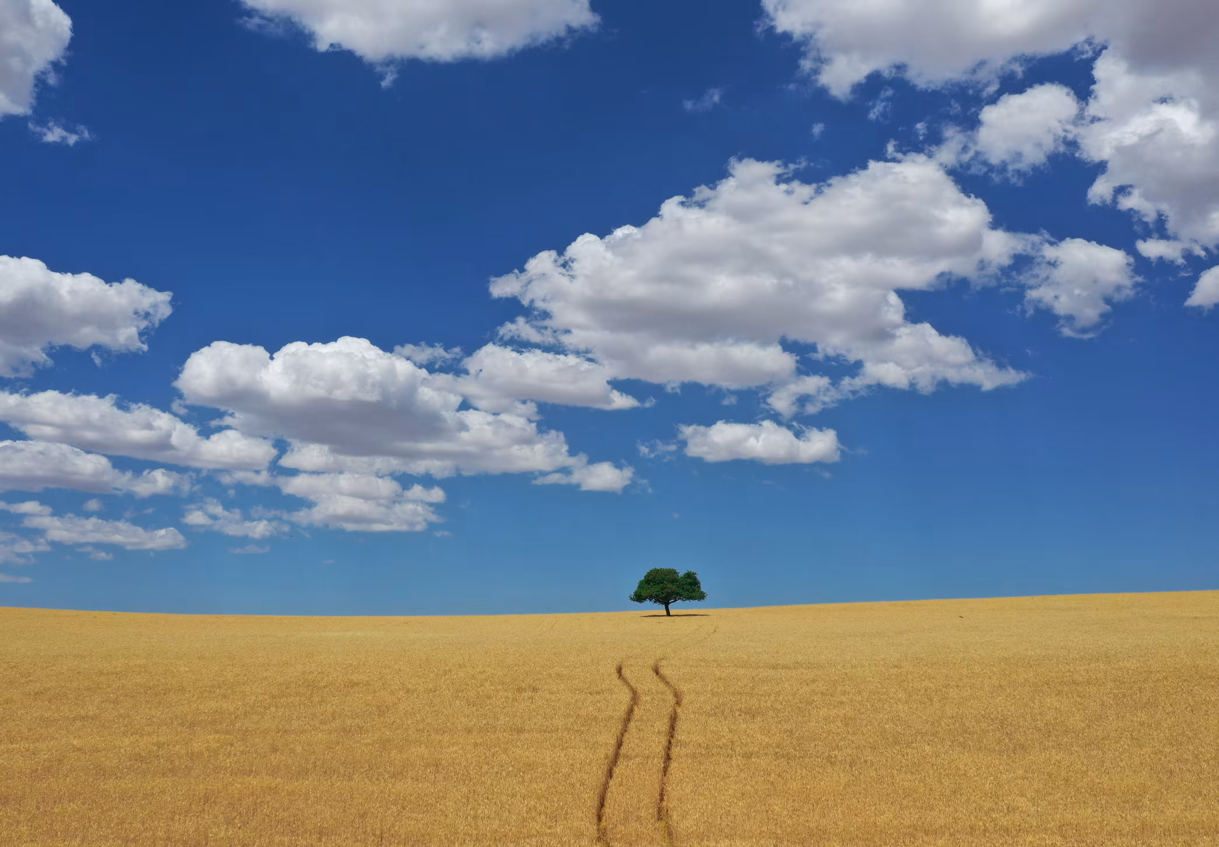 endless road