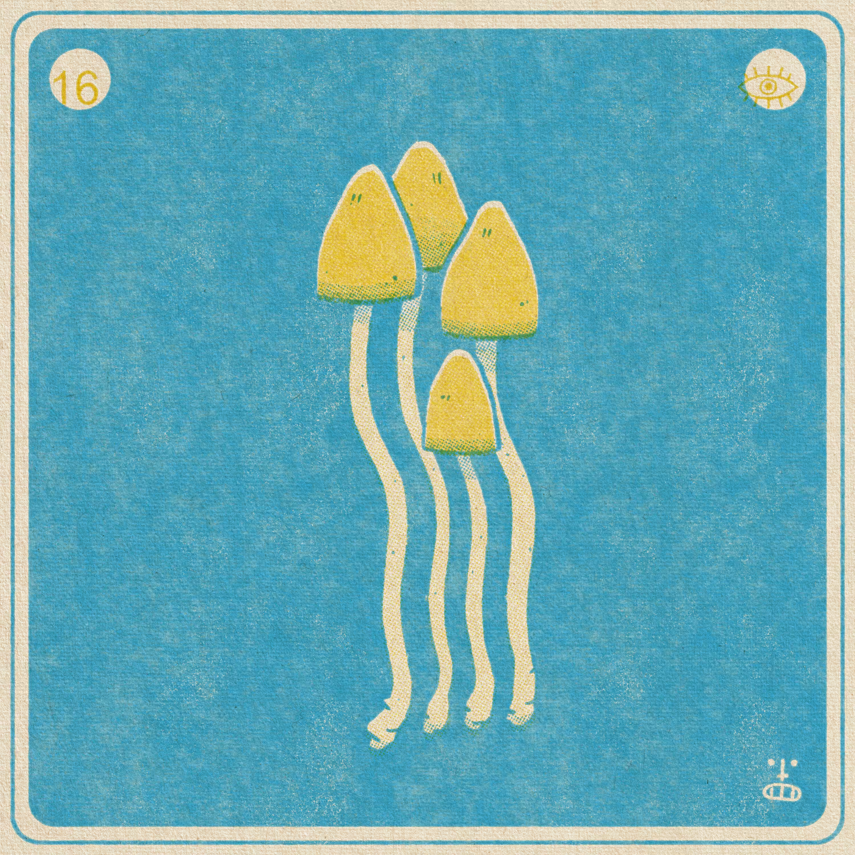 16- Psilocybe semilanceata (Liberty Caps)
