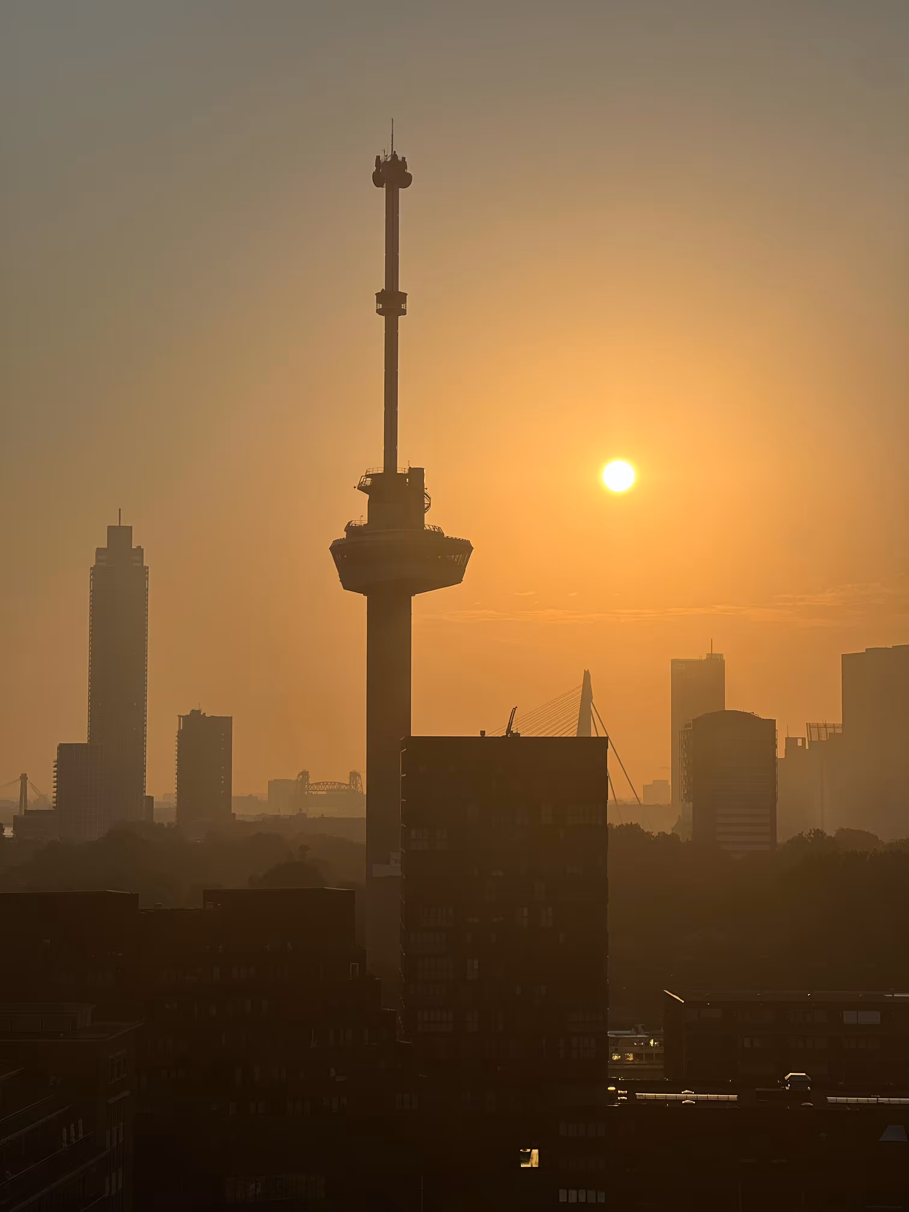 Rotterdam Tezsummer