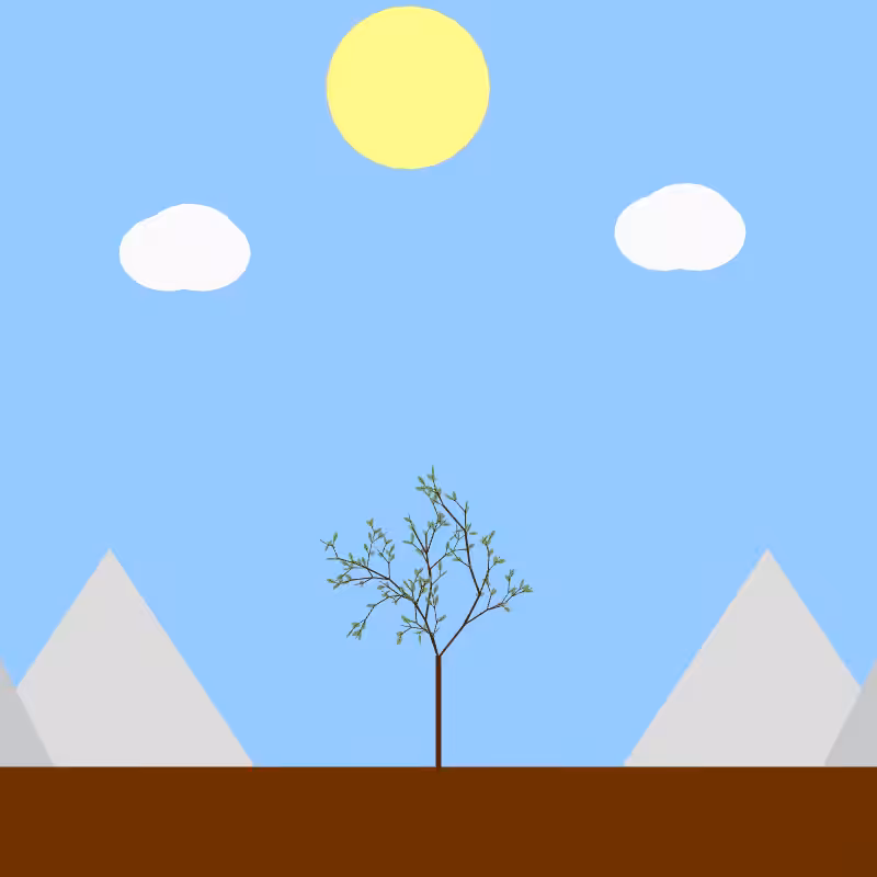From seedling to tree #14
