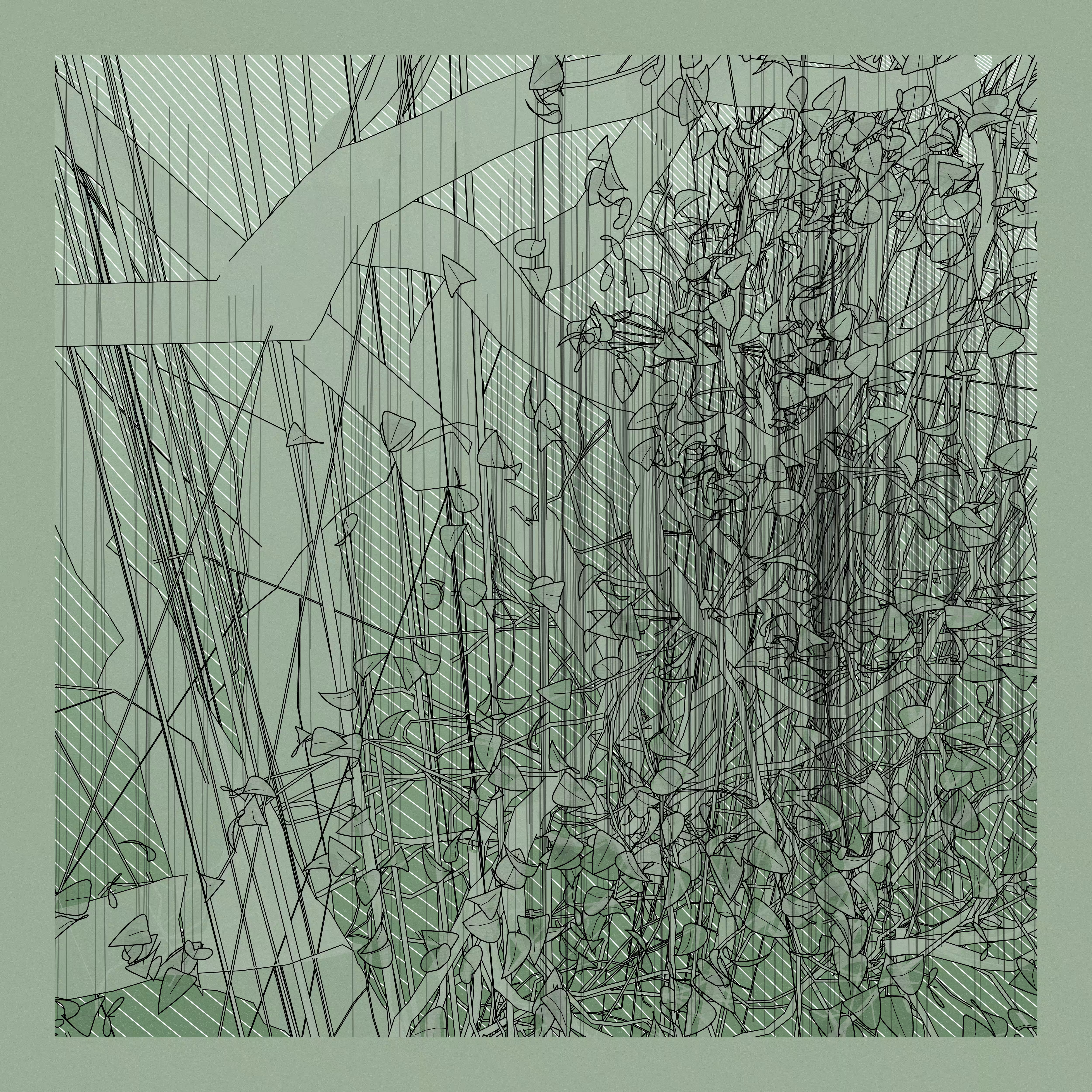 A Bugged Forest #857