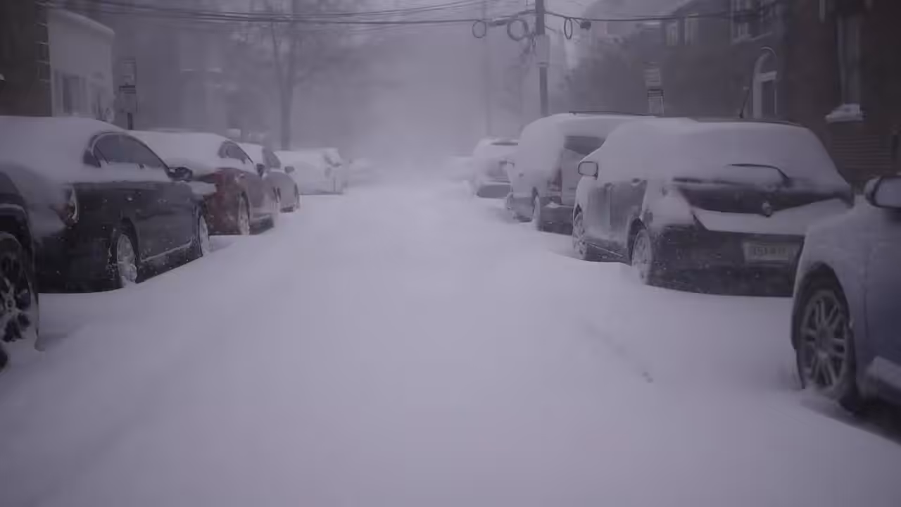 Don't Order Delivery During The Bomb Cyclone