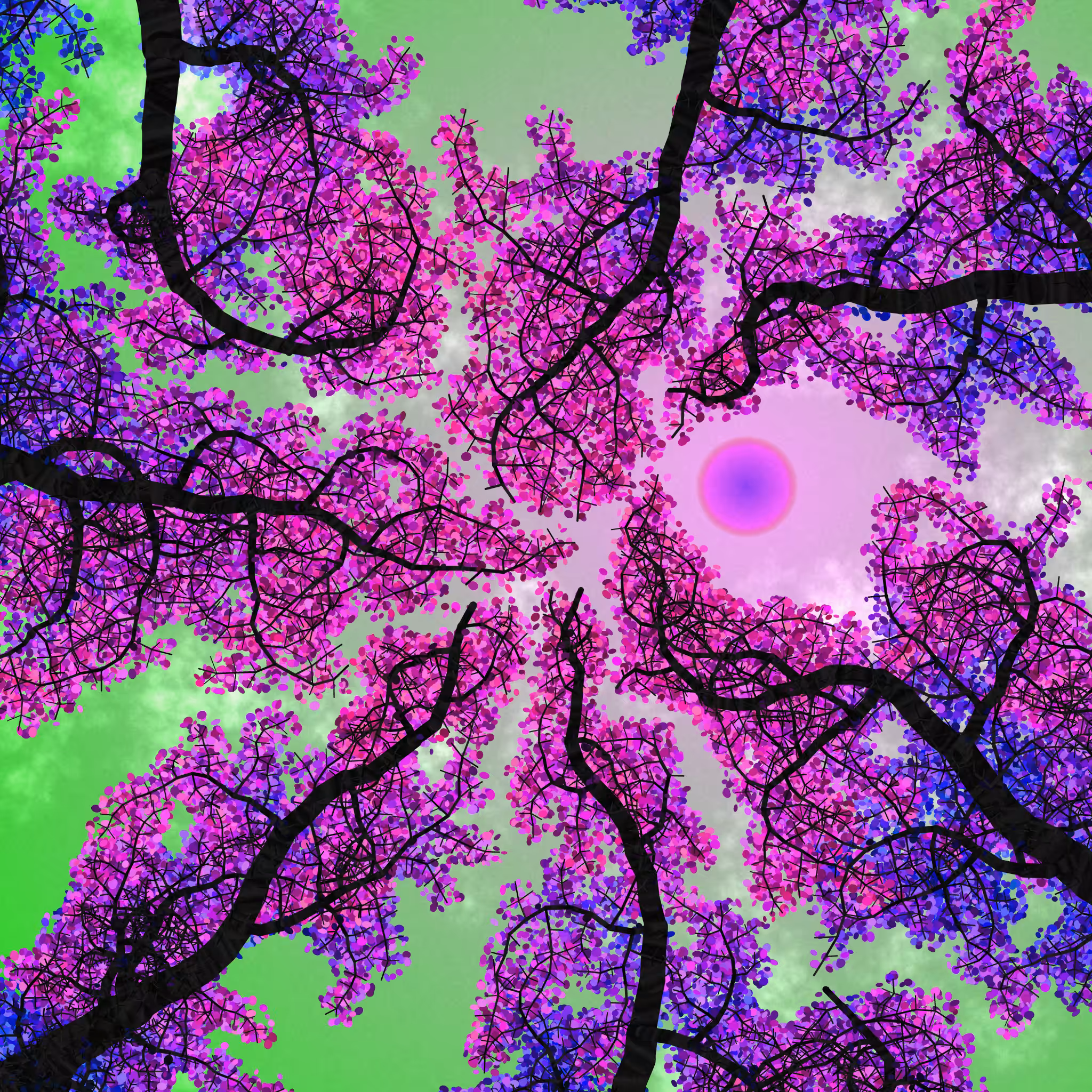 Tree Skyness #19