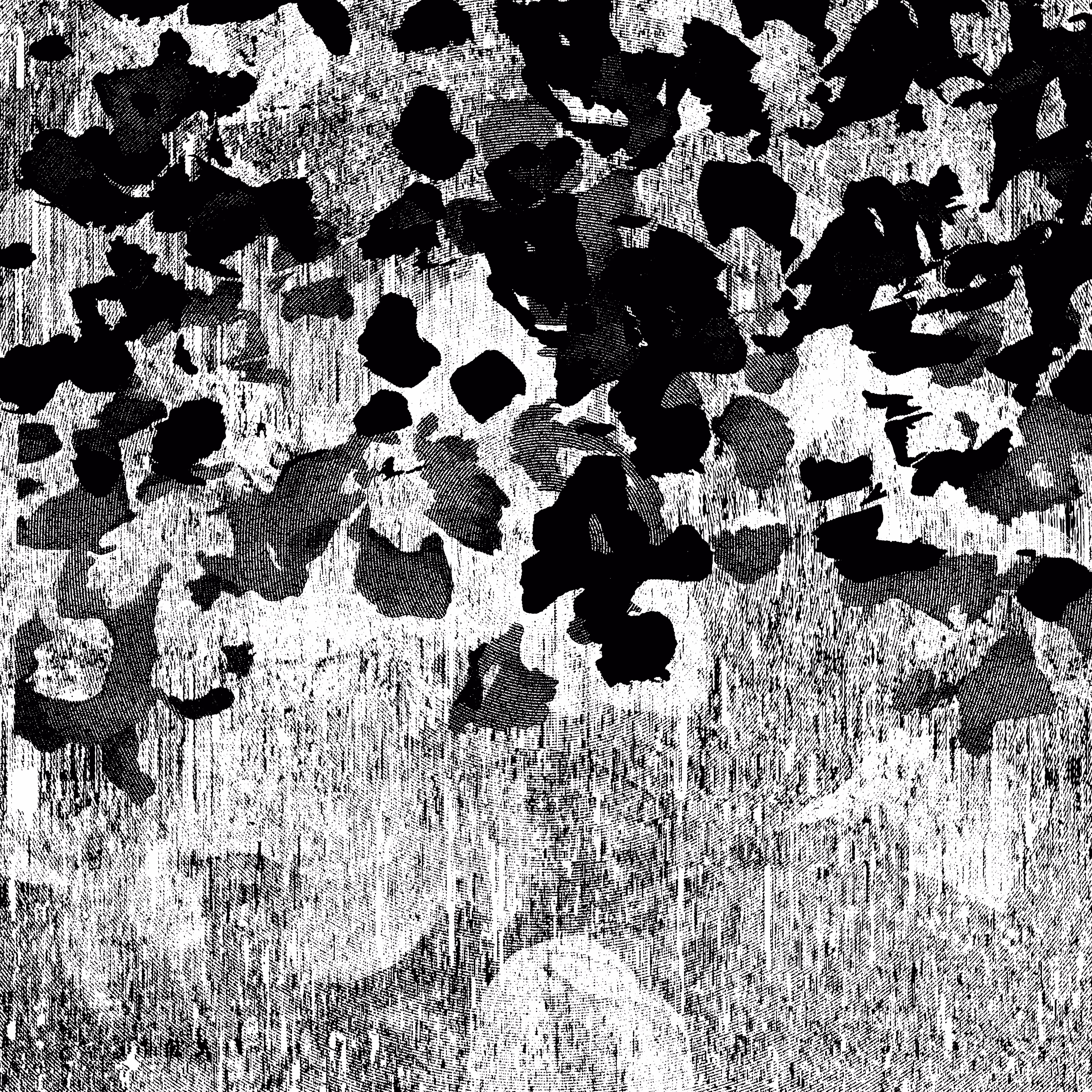 shadow #44