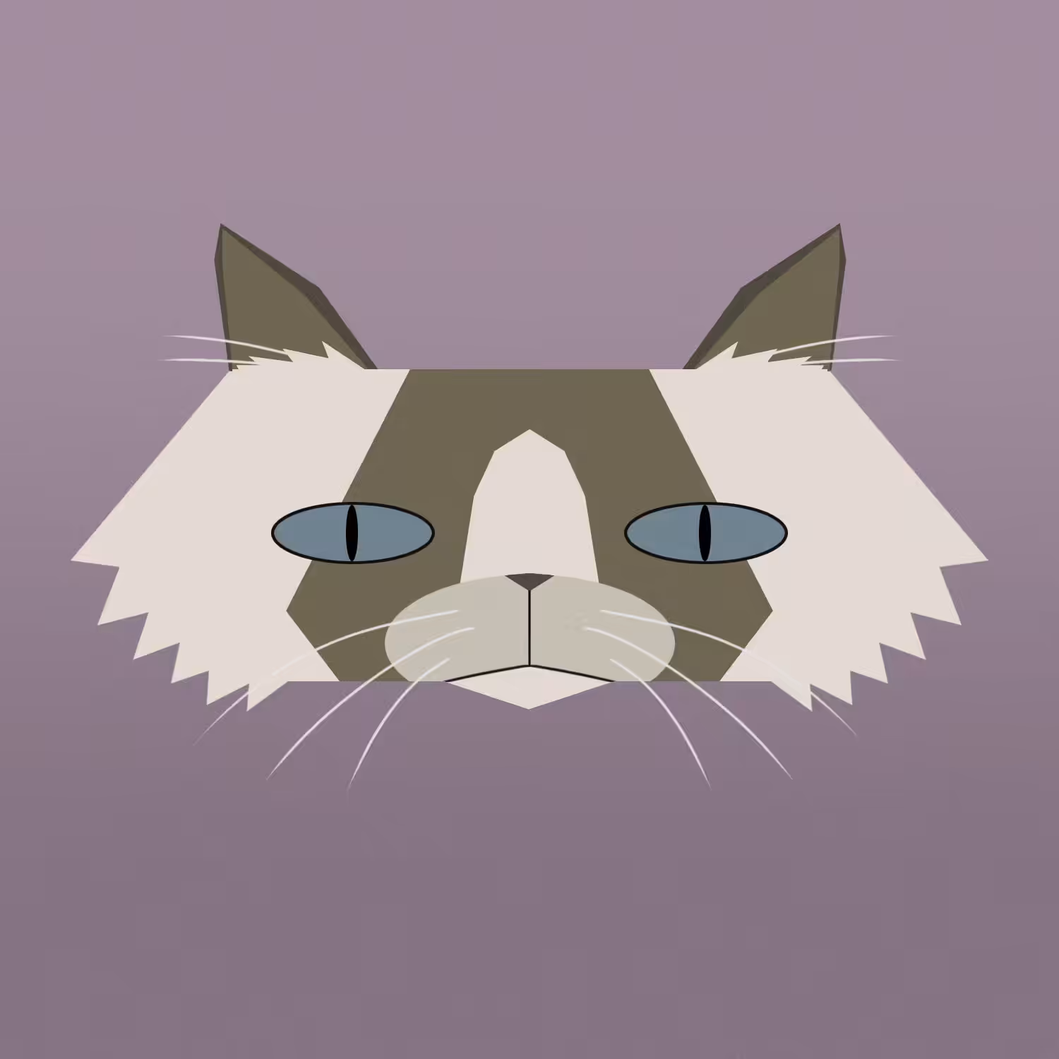 kitty #23 - ragdoll