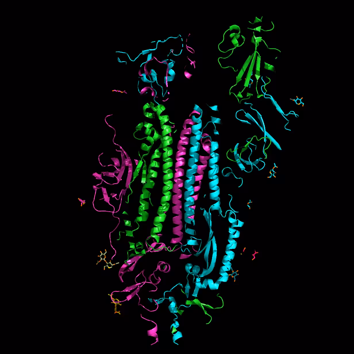 2019-nCoV spike glycoprotein lightning