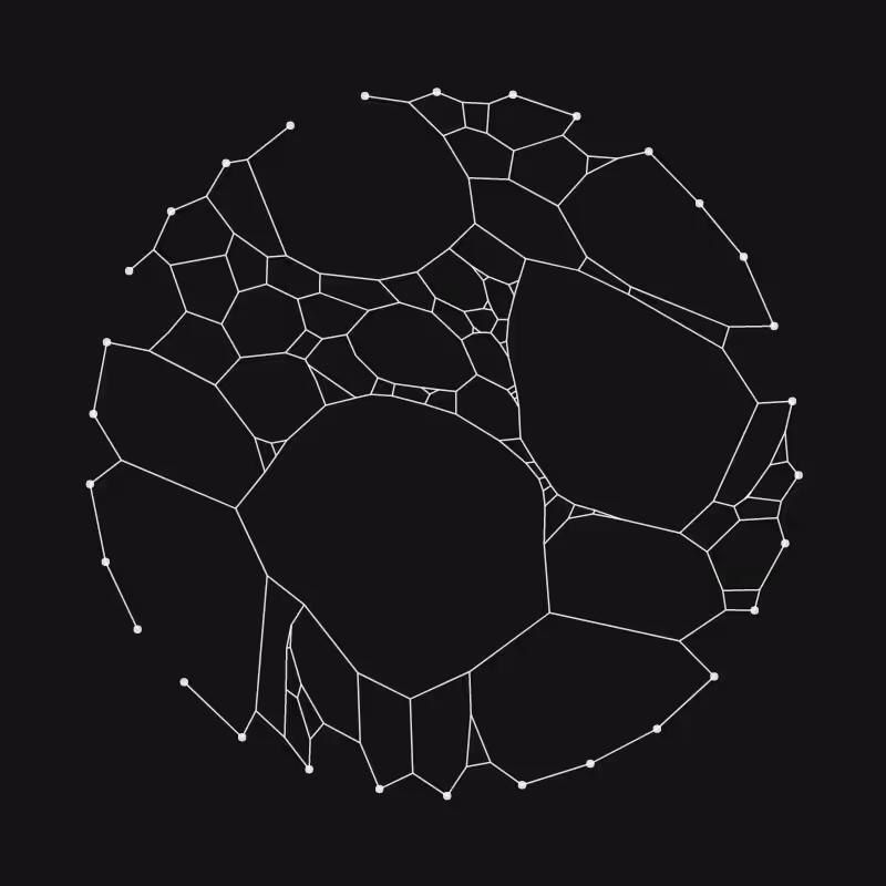 Elastic Web #195