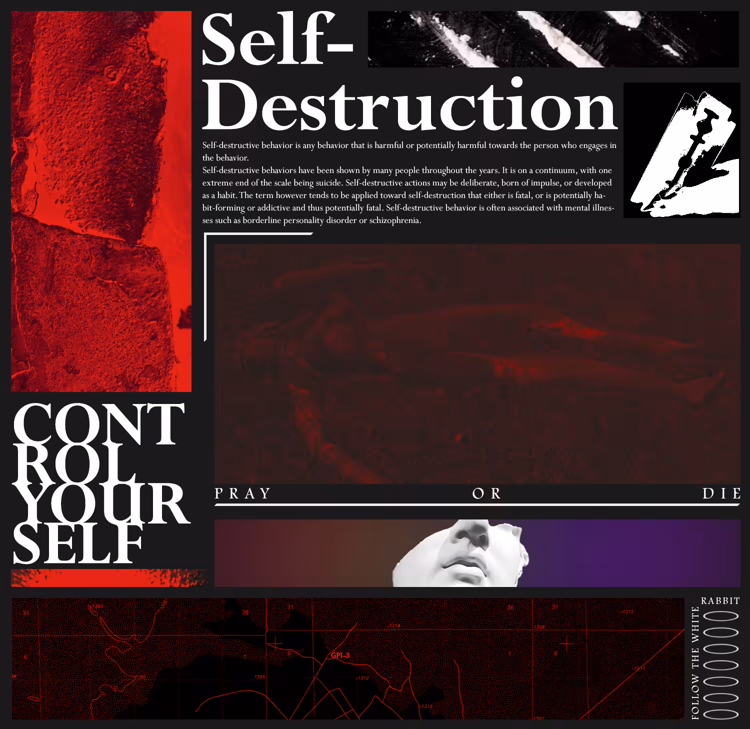 Self Destruction