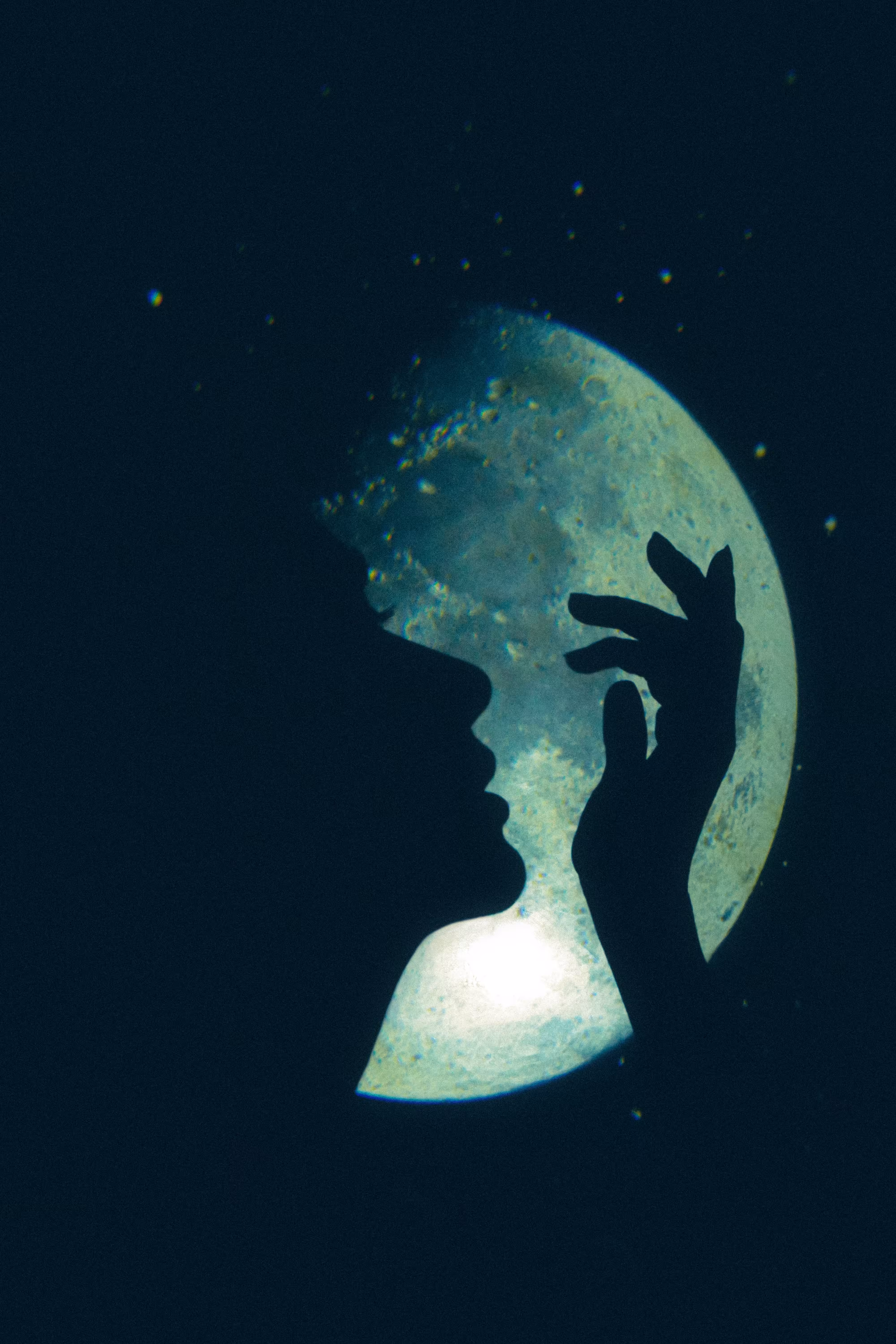 In the Moonlight