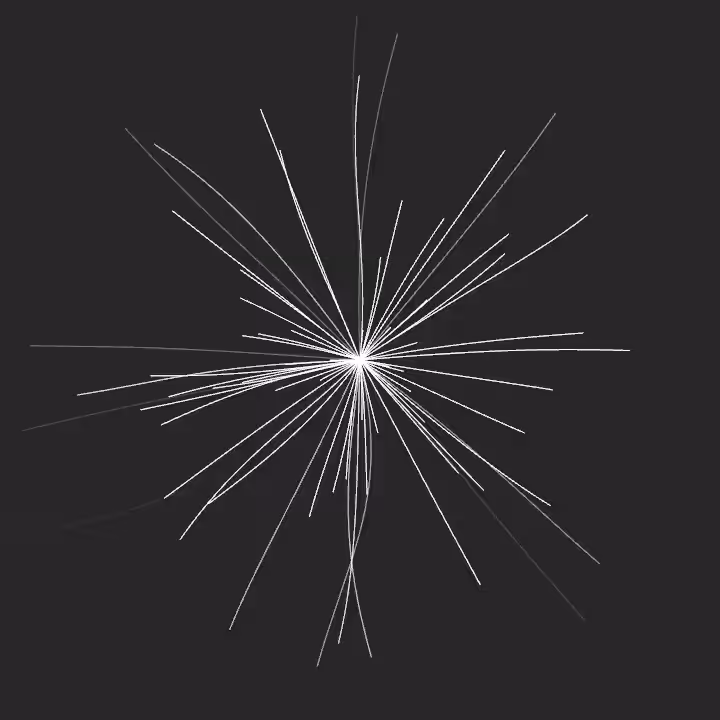 DoodleDeProgramming_20240222