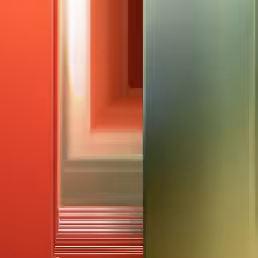 N 007