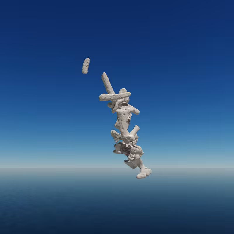 Bone Work (Gulf of Mexico) 2022 #31