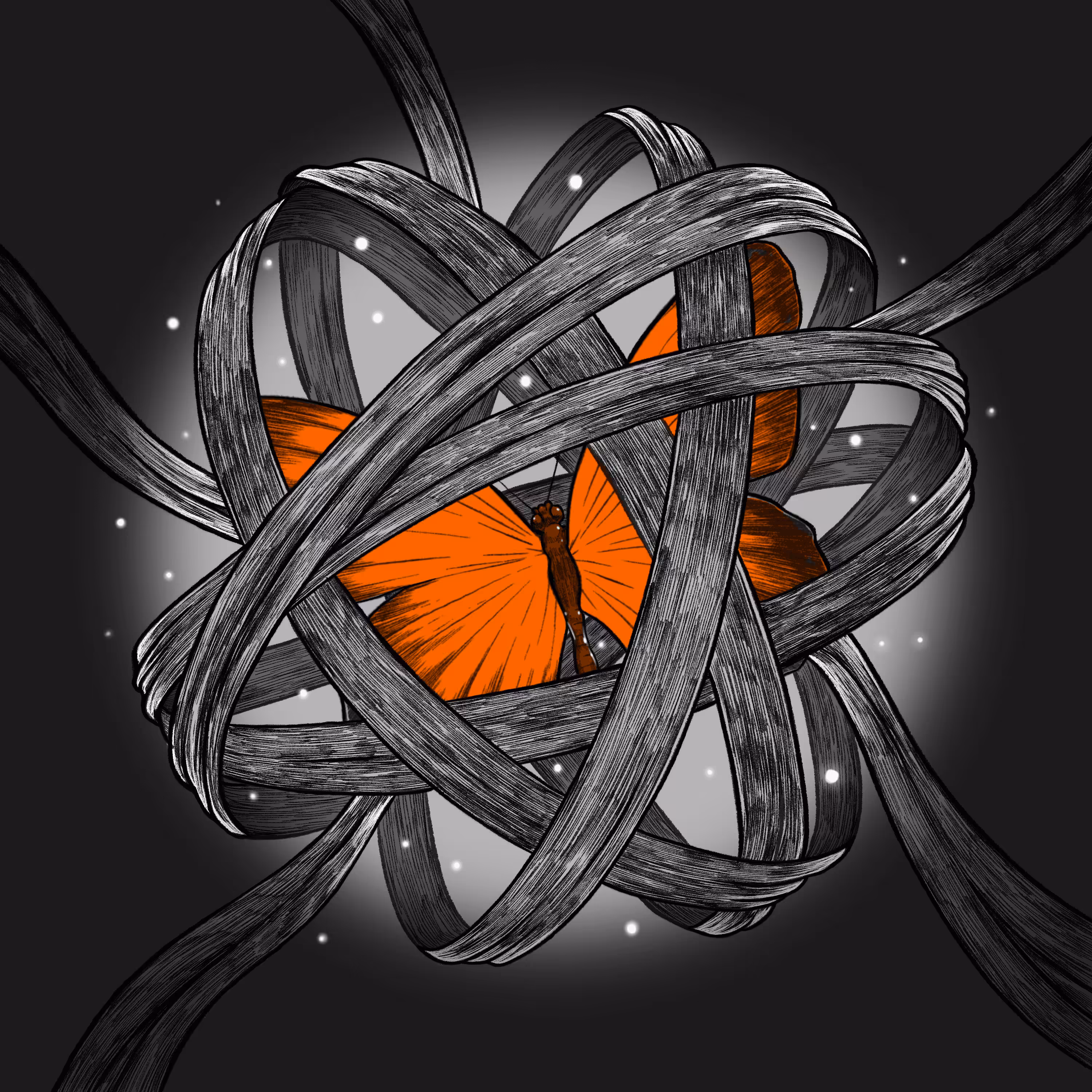 Metamorphosis: The New Beginning