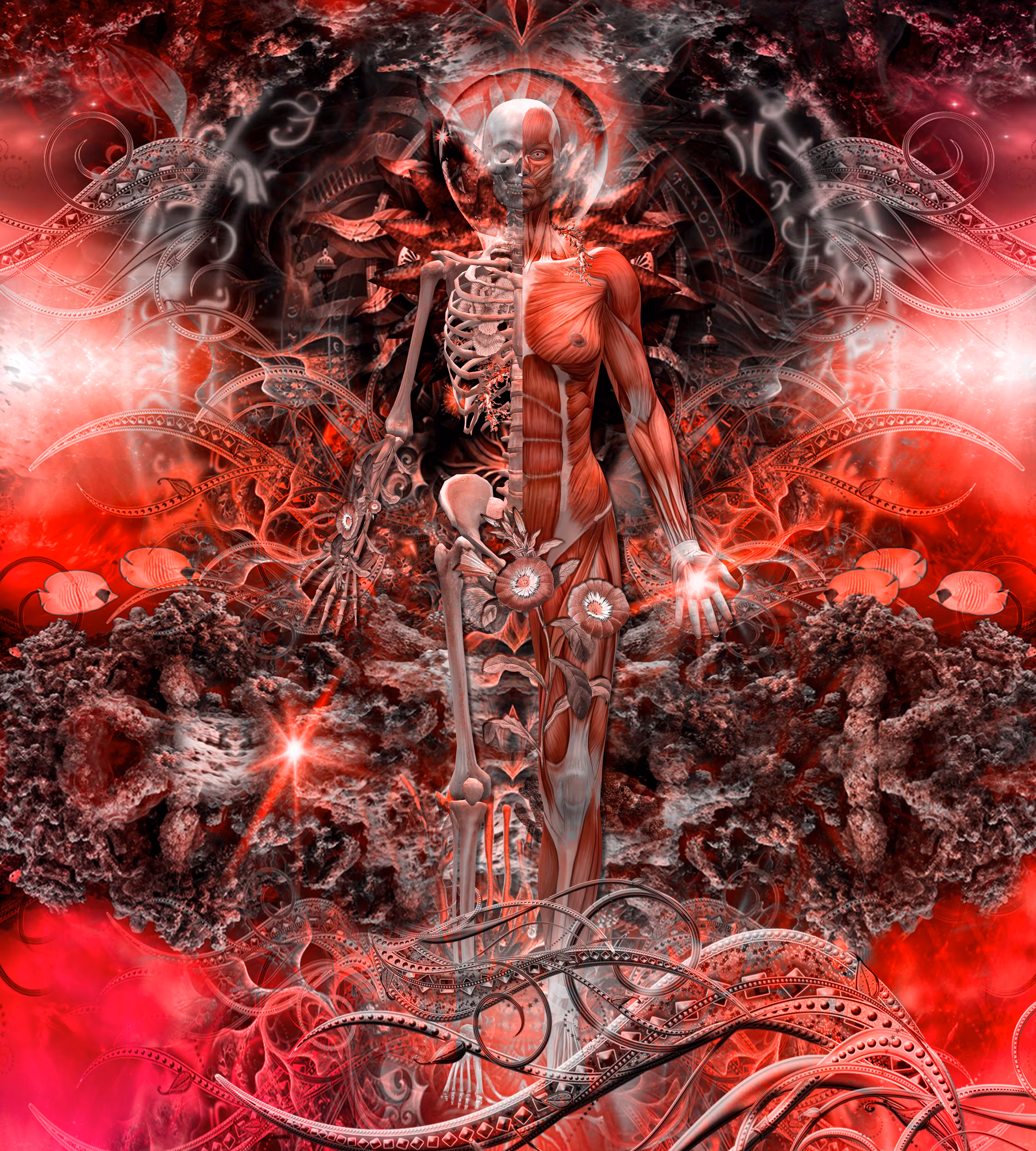 Human