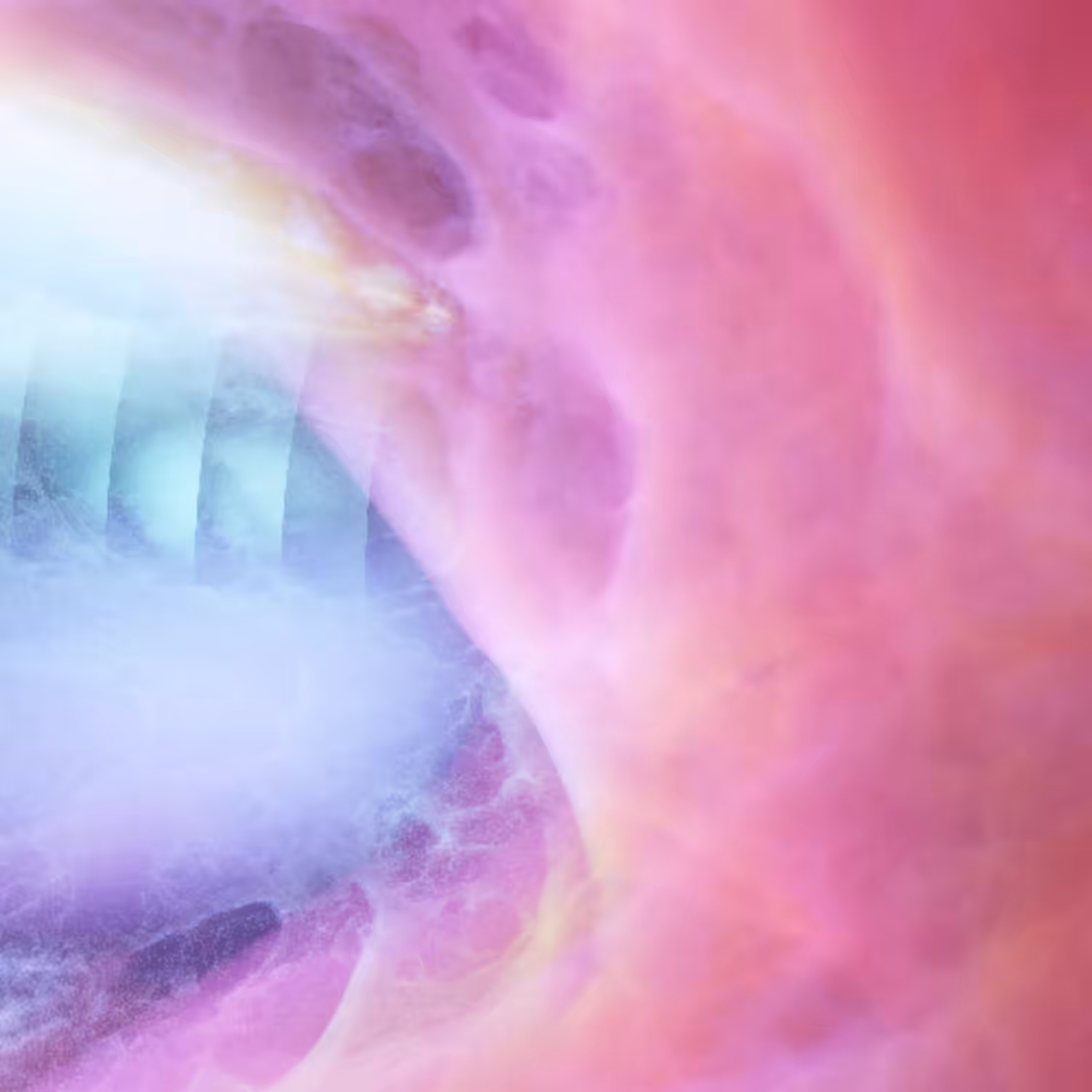Journey Into The Metaverse 