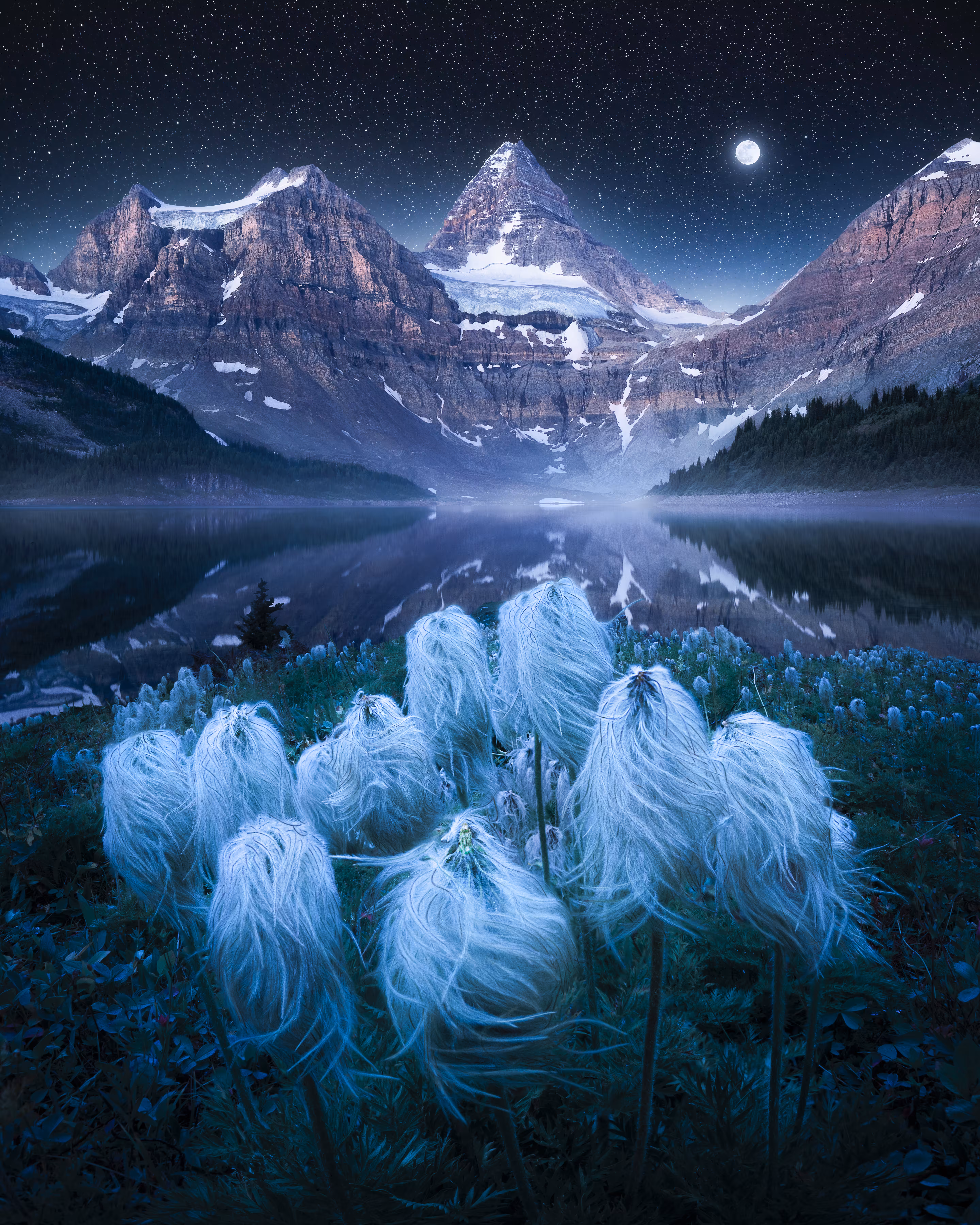 Clair De Lune