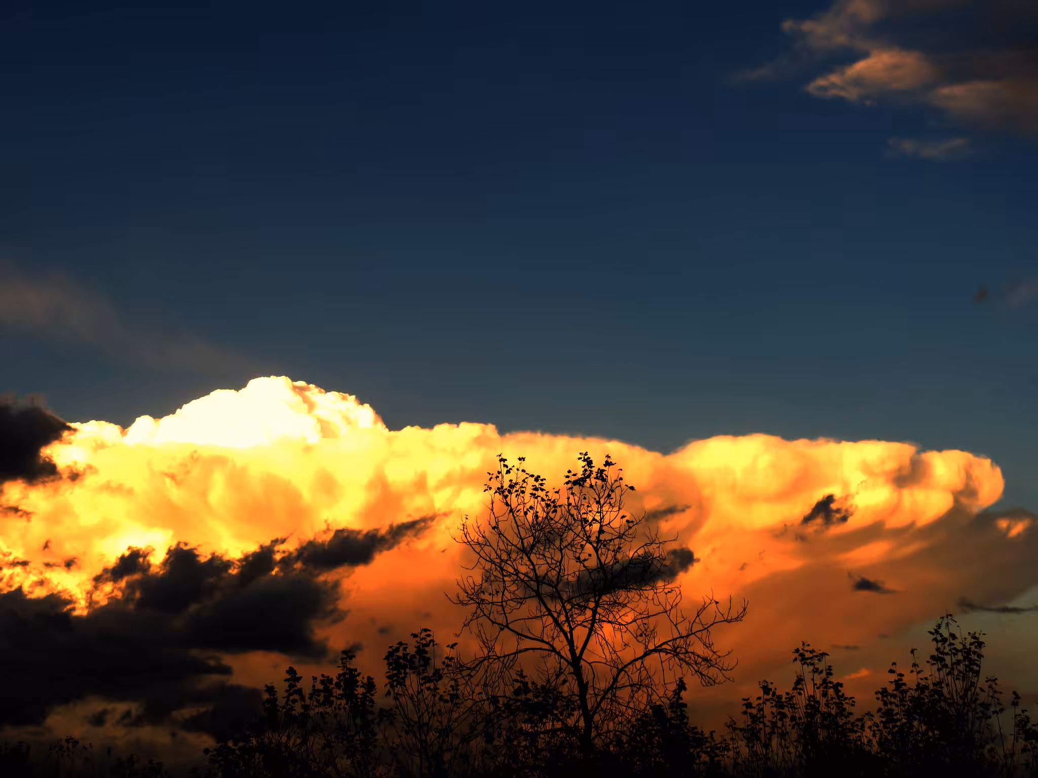Mushroom Cloud 007