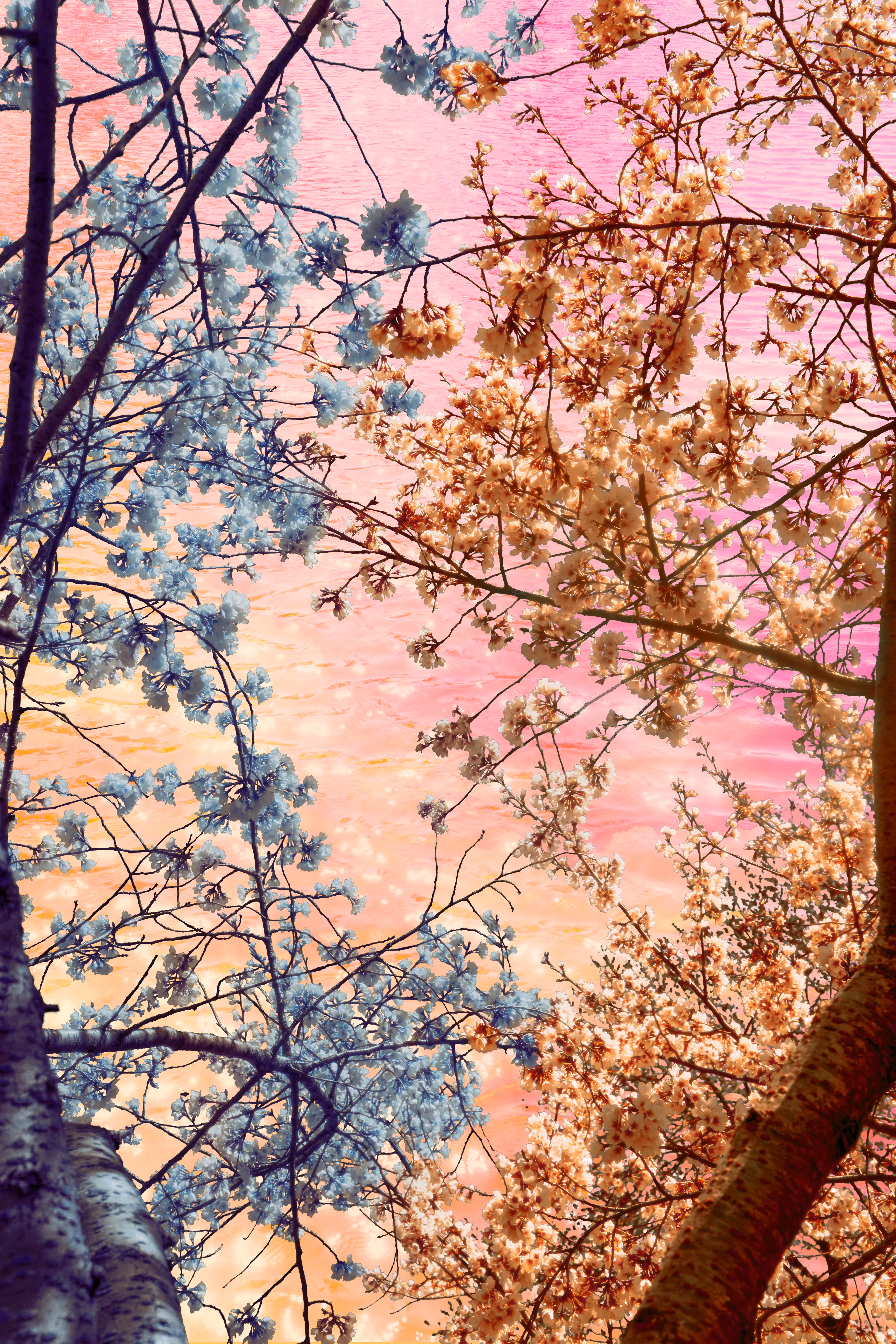 in harmony